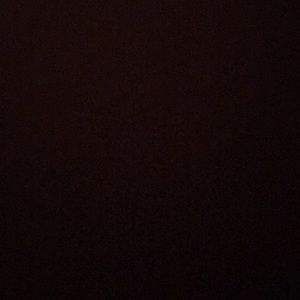 Meet your Posher, Kenzie